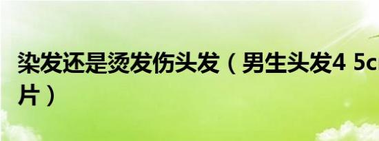 染发还是烫发伤头发（男生头发4 5cm烫发照片）
