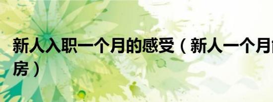 新人入职一个月的感受（新人一个月能卖几套房）