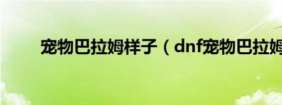 宠物巴拉姆样子（dnf宠物巴拉姆）