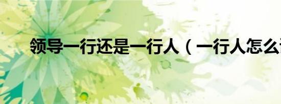 领导一行还是一行人（一行人怎么读）