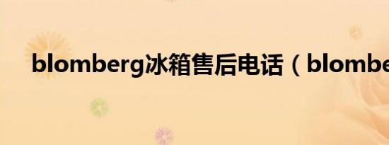 blomberg冰箱售后电话（blomberg）