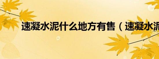 速凝水泥什么地方有售（速凝水泥）