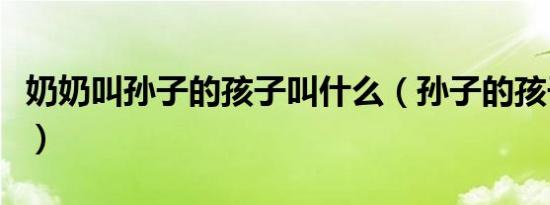 奶奶叫孙子的孩子叫什么（孙子的孩子叫什么）