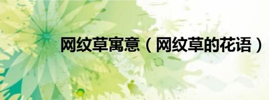 网纹草寓意（网纹草的花语）
