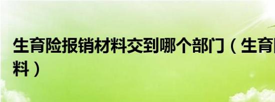 生育险报销材料交到哪个部门（生育险报销材料）