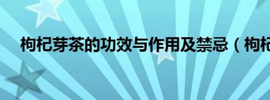 枸杞芽茶的功效与作用及禁忌（枸杞芽）