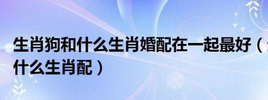 生肖狗和什么生肖婚配在一起最好（生肖狗和什么生肖配）
