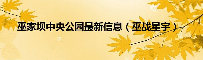 巫家坝中央公园最新信息（巫战星宇）