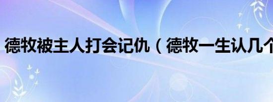德牧被主人打会记仇（德牧一生认几个主人）
