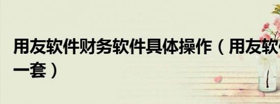 用友软件财务软件具体操作（用友软件多少钱一套）