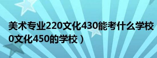 美术专业220文化430能考什么学校（美术220文化450的学校）