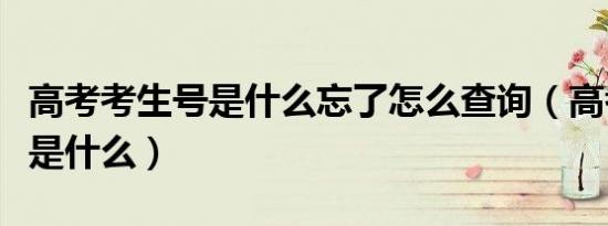 高考考生号是什么忘了怎么查询（高考考生号是什么）
