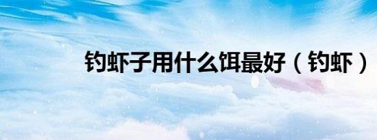 钓虾子用什么饵最好（钓虾）