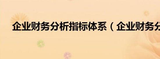 企业财务分析指标体系（企业财务分析）