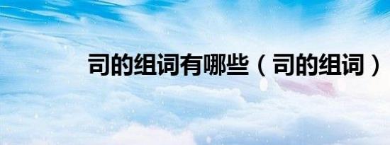 司的组词有哪些（司的组词）