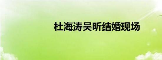 杜海涛吴昕结婚现场