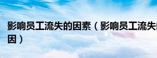 影响员工流失的因素（影响员工流失的外部原因）