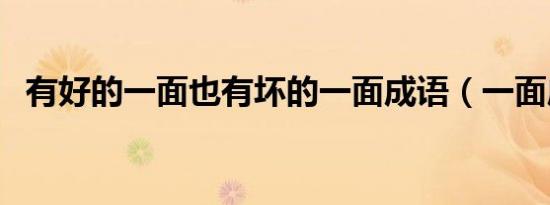 有好的一面也有坏的一面成语（一面成语）