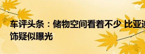 车评头条：储物空间看着不少 比亚迪海豚内饰疑似曝光