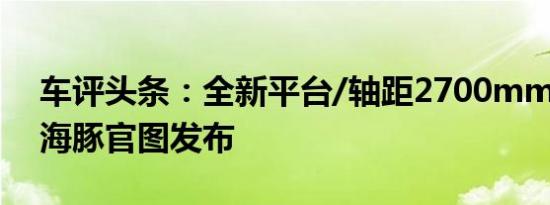 车评头条：全新平台/轴距2700mm 比亚迪海豚官图发布