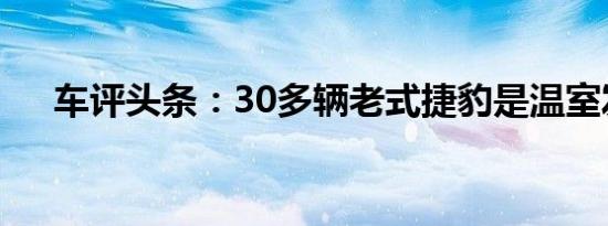 车评头条：30多辆老式捷豹是温室发现