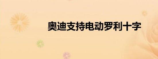 奥迪支持电动罗利十字
