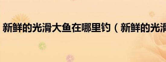 新鲜的光滑大鱼在哪里钓（新鲜的光滑大鱼）
