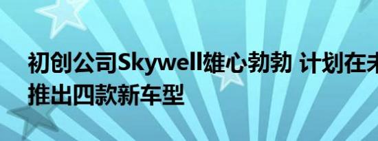 初创公司Skywell雄心勃勃 计划在未来五年推出四款新车型