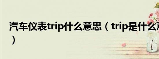 汽车仪表trip什么意思（trip是什么意思汽车）