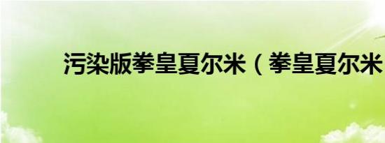 污染版拳皇夏尔米（拳皇夏尔米）