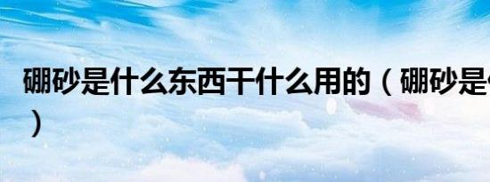 硼砂是什么东西干什么用的（硼砂是什么东西）