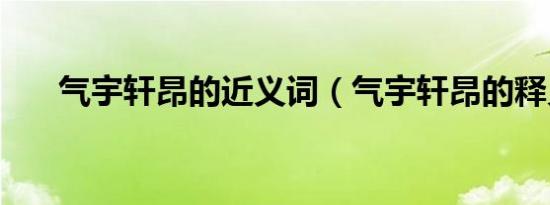气宇轩昂的近义词（气宇轩昂的释义）