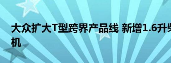 大众扩大T型跨界产品线 新增1.6升柴油发动机