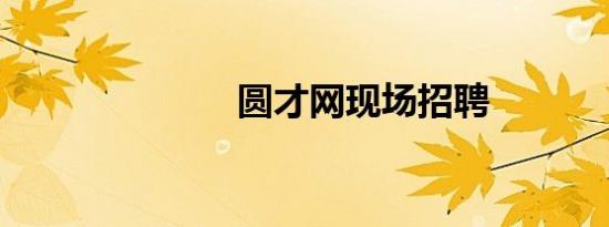 圆才网现场招聘