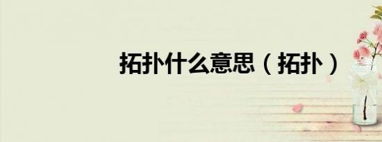 拓扑什么意思（拓扑）