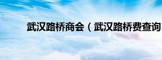 武汉路桥商会（武汉路桥费查询）