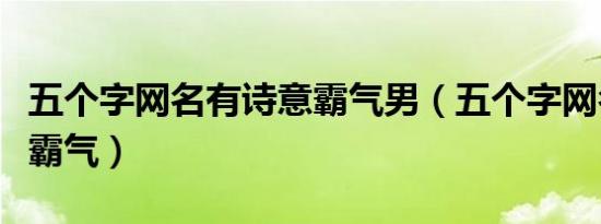 五个字网名有诗意霸气男（五个字网名有诗意霸气）