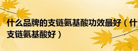 什么品牌的支链氨基酸功效最好（什么品牌的支链氨基酸好）