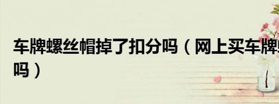 车牌螺丝帽掉了扣分吗（网上买车牌螺丝合法吗）