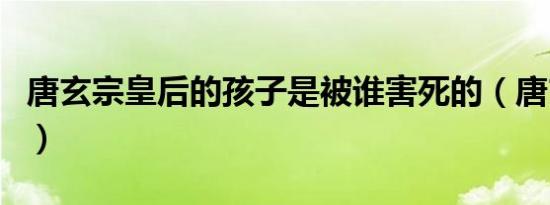 唐玄宗皇后的孩子是被谁害死的（唐玄宗皇后）