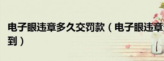 电子眼违章多久交罚款（电子眼违章多久能查到）