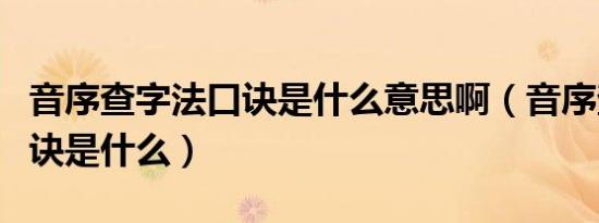 音序查字法口诀是什么意思啊（音序查字法口诀是什么）