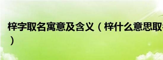 梓字取名寓意及含义（梓什么意思取名怎么样）