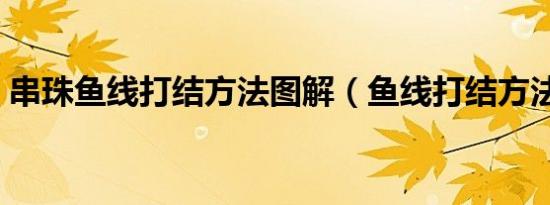 串珠鱼线打结方法图解（鱼线打结方法图解）