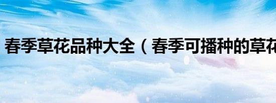 春季草花品种大全（春季可播种的草花品种）