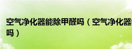 空气净化器能除甲醛吗（空气净化器能开一夜吗）