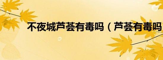 不夜城芦荟有毒吗（芦荟有毒吗）