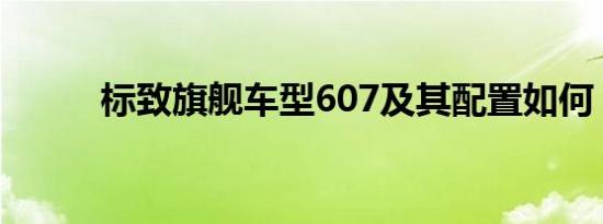 标致旗舰车型607及其配置如何？