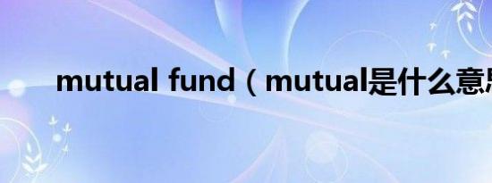 mutual fund（mutual是什么意思）