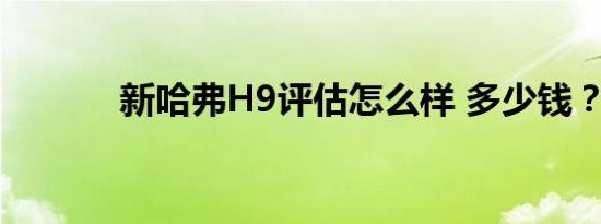 新哈弗H9评估怎么样 多少钱？